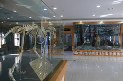 P1070759