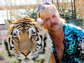 The Tiger King and its Original Treatment Proposal