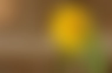 Kafferep på prästbacken 18/8-2019.