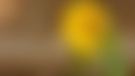 Kafferep på prästbacken 18/8-2019.