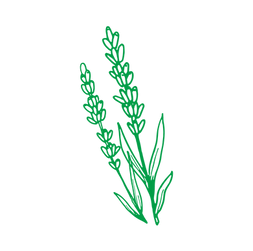 mais vert