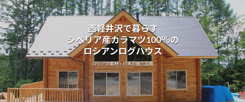 サイト:ビジネス紹介:ロシア:建築:Anna&Viktoria:画像:サイト.p