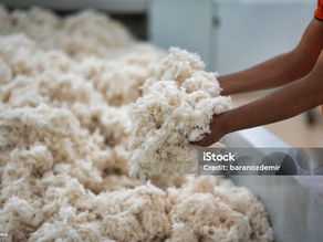 Crafting a Better Future: Textiles for Education