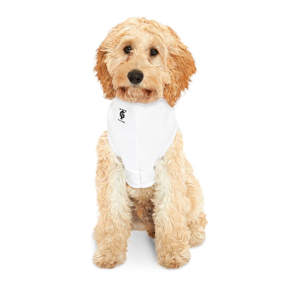 Thumbnail: Manifest Your Destiny Pet Hoodie | Àṣẹ Print for Dogs & Cats