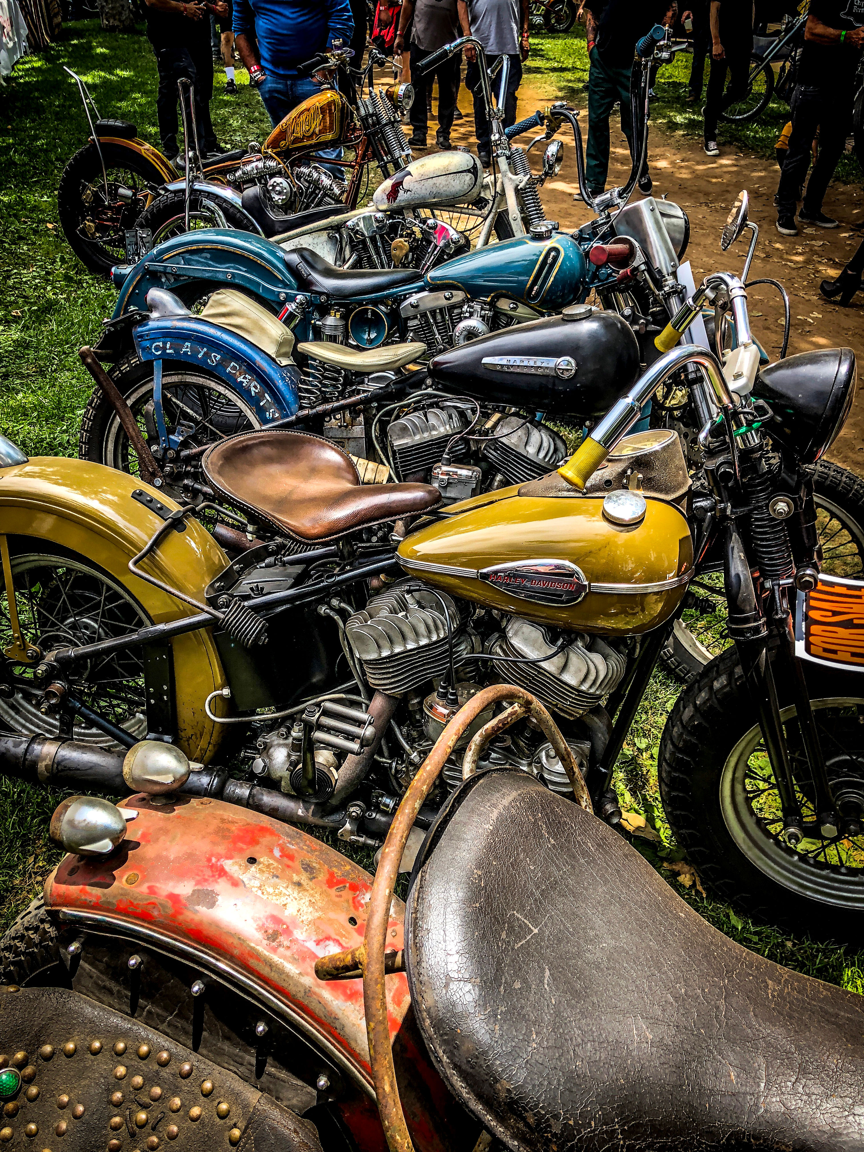 Born-Free - Fine Art Print