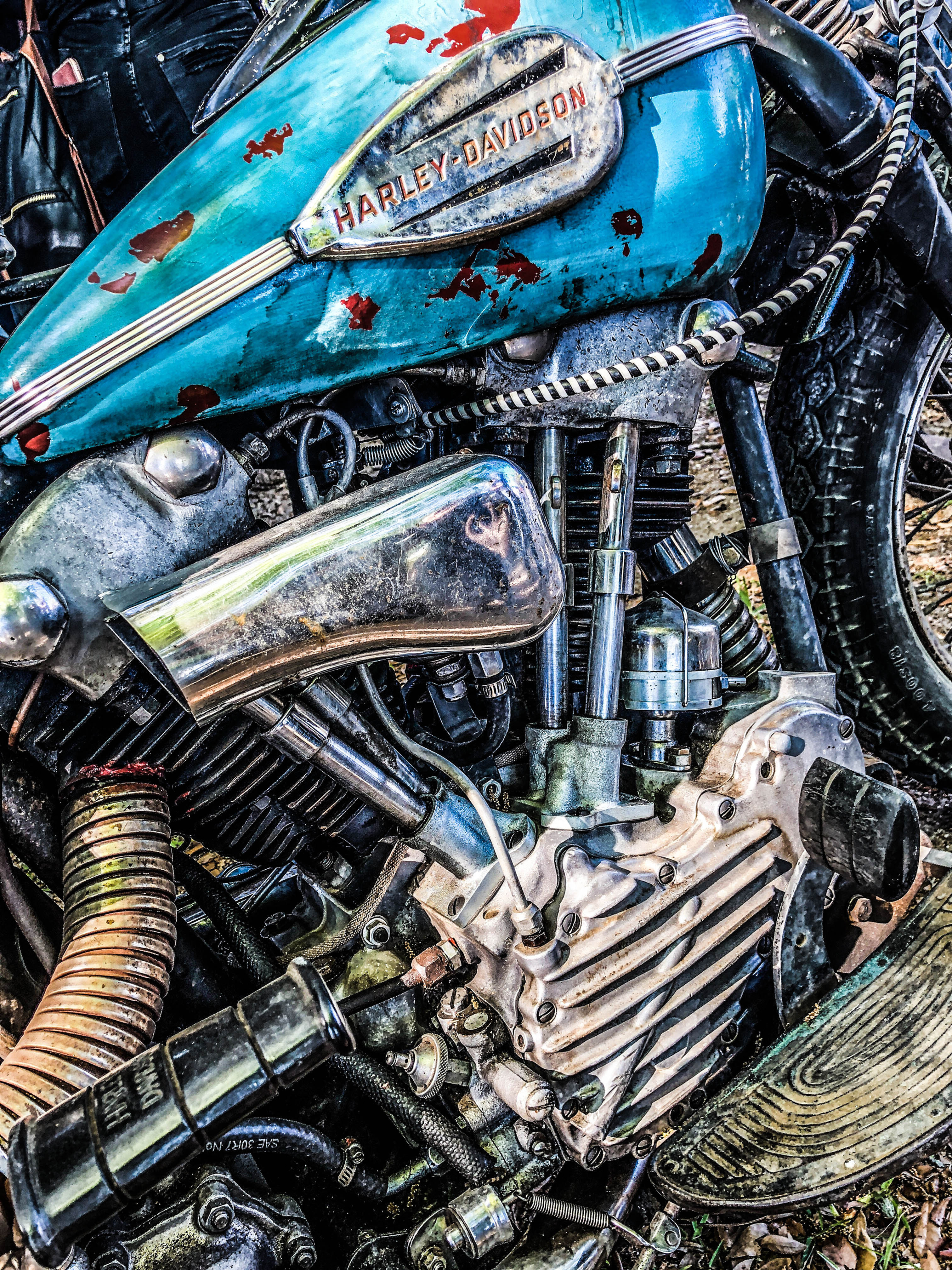 Knucklehead Blues - Fine Art Print