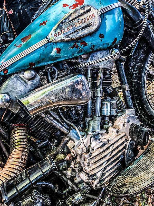 Knucklehead Blues - Photo by Scharf