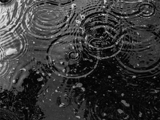 Cada Gota Conta: A Magia de Colher a Chuva no Semiárido Potiguar