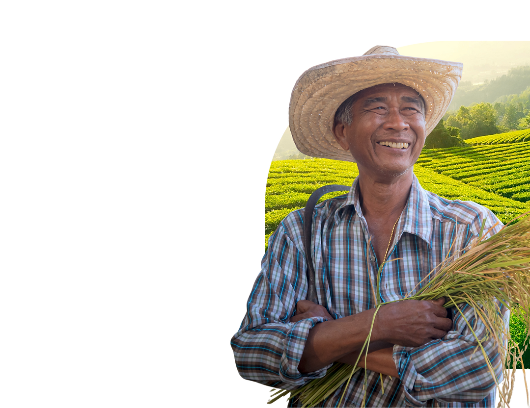 3(11).png
