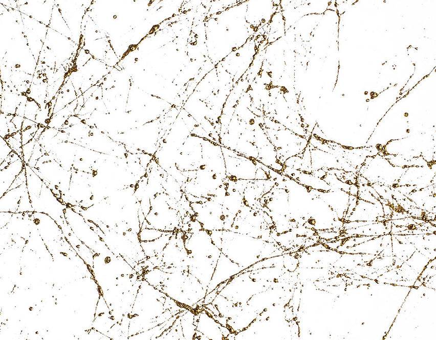 Thumbnail: Montana MARBLE 400ml