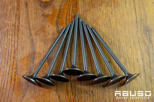 Kawasaki ZX7R 91/95 ZX9R 94/97 Stock Intake Valves | ABUSO