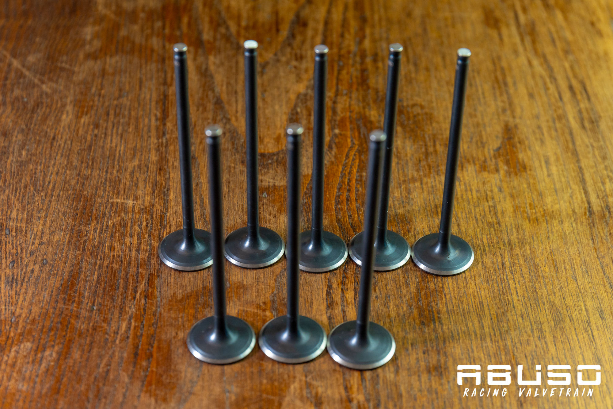 Kawasaki ZX9R ZX900 98/03 Stock Exhaust Valves