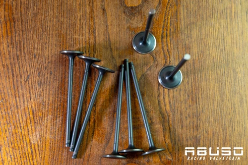 Kawasaki ZX9R ZX900 98/03 Stock Exhaust Valves | ABUSO - Racing