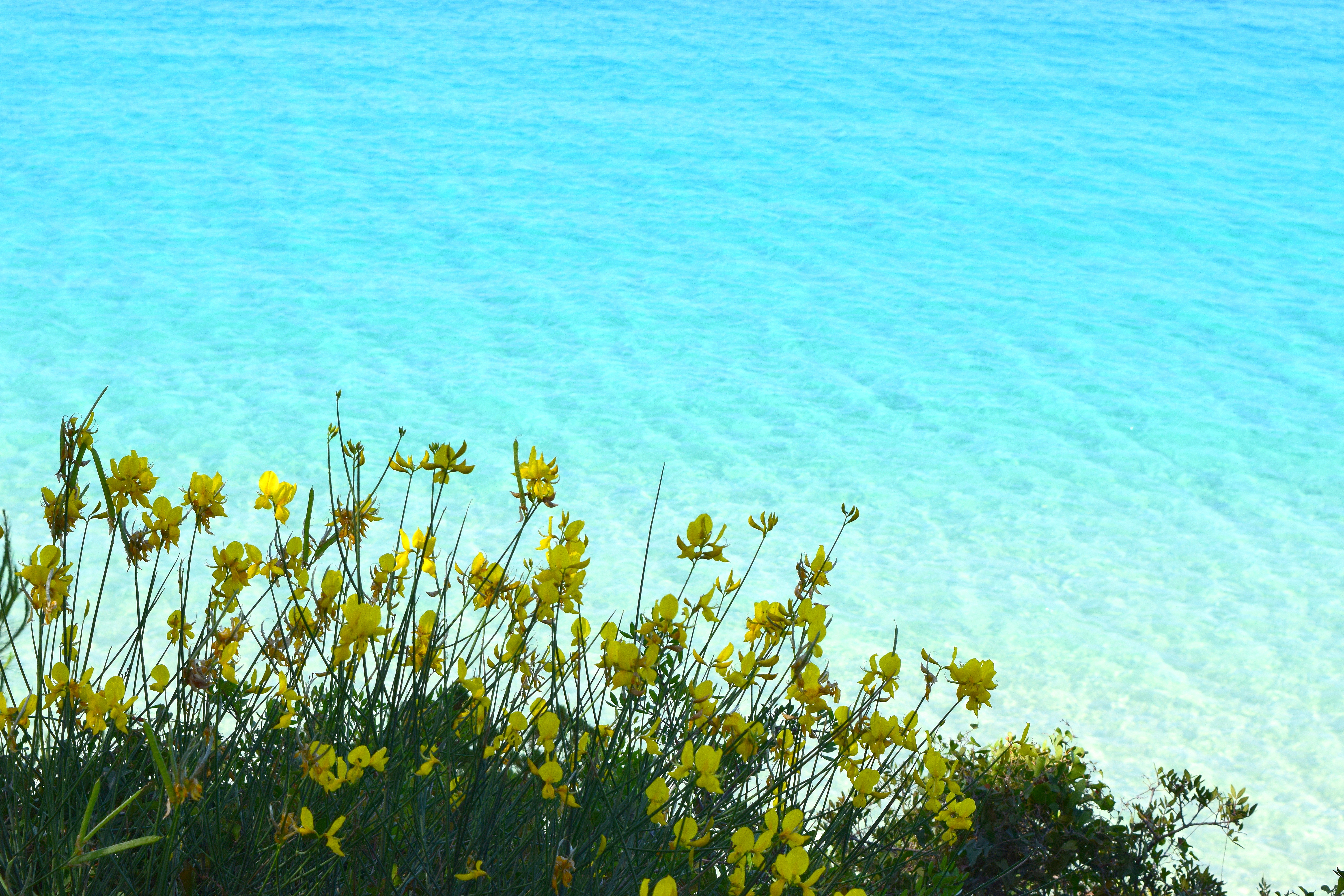 Makris Gialos waters