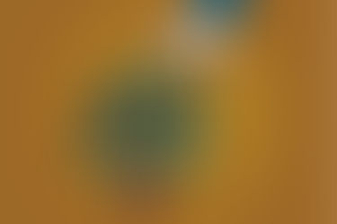 Free Home Insulation for Pensioners: A Quick Guide by Eco Green Solutions