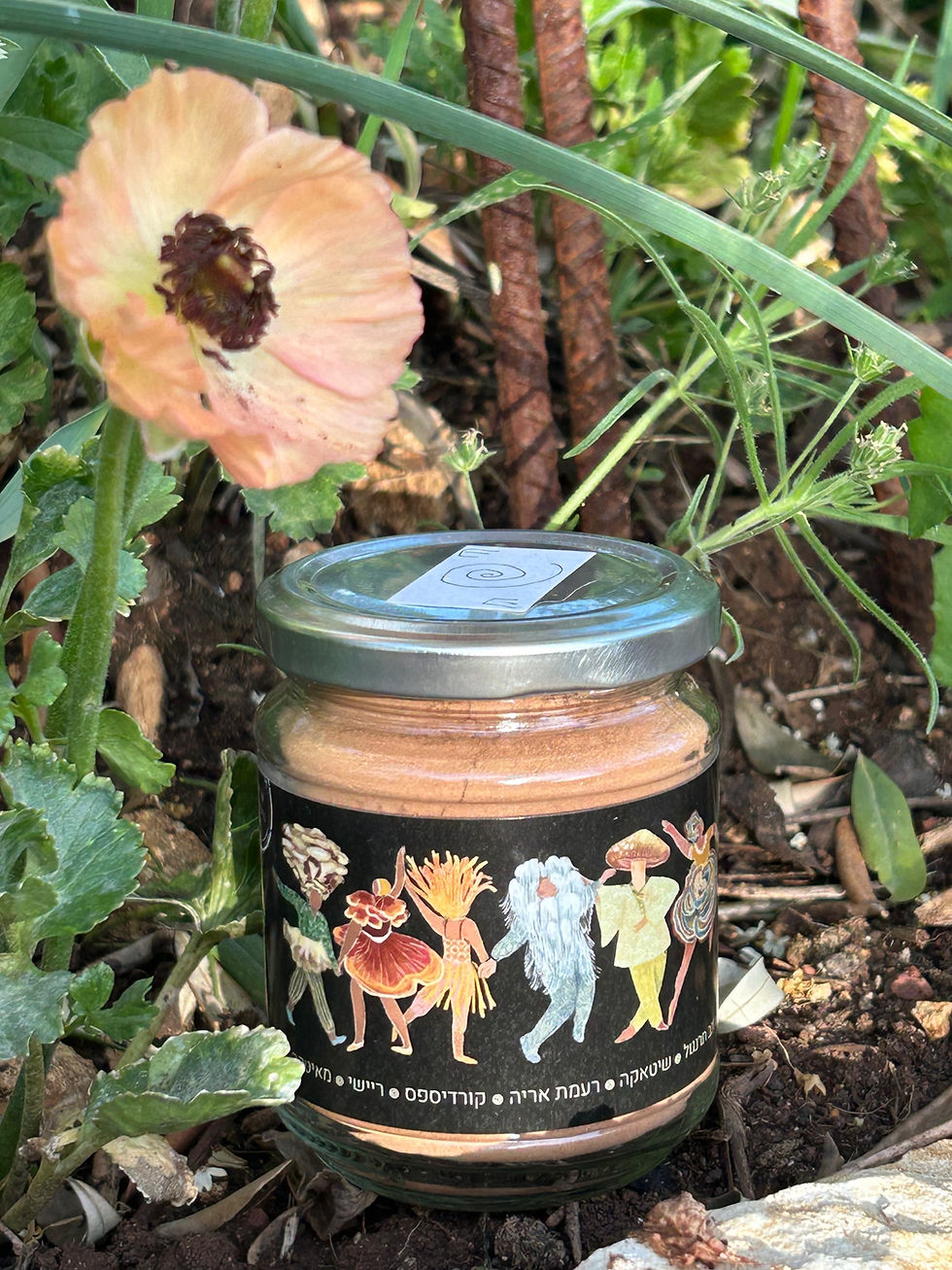 שוקו שקטי- מזון על עם פטריות מרפא