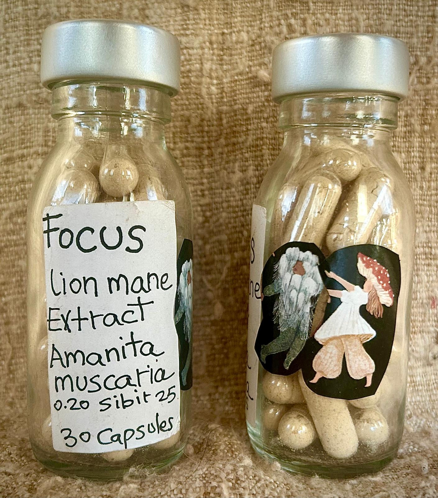 מיקוד- אמניטה מוסכריה ורעמת האריה