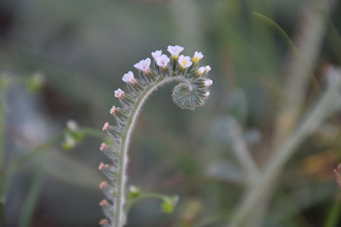 DSC_0060.JPG