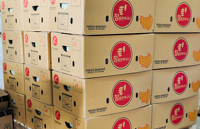 Kizuna Group Banana