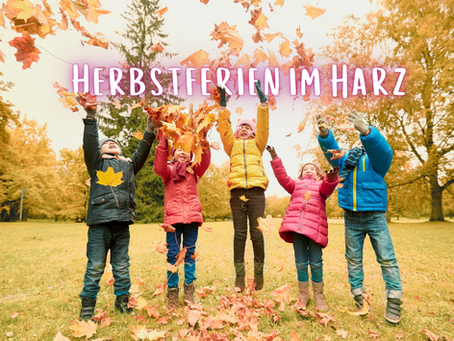 Fünf Kinder in bunten Winterjacken, Mützen und Handschuhen werfen Herbstlaub in die Luft. Sie stehen auf einer Wiese vor herbstlich gefärbten Bäumen.