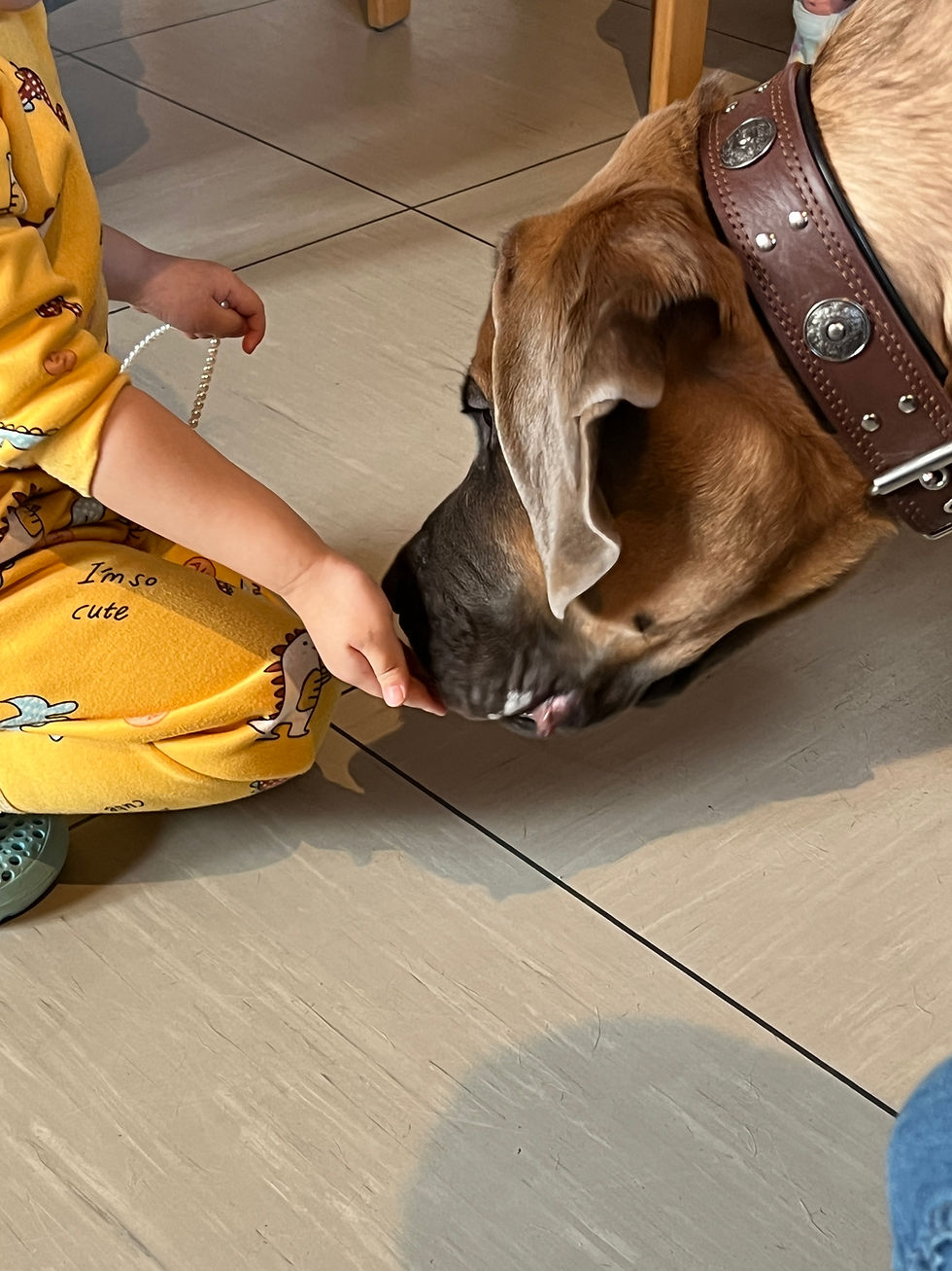 Hier gab es Leckerlis für Melvin.