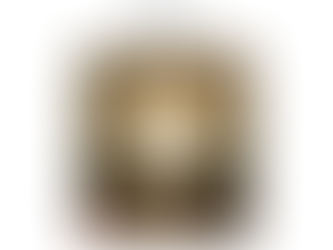 Bulletin for May 24, 2026 - Pentecost