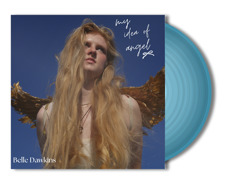 vinylpng-transparent-1788946401848.png