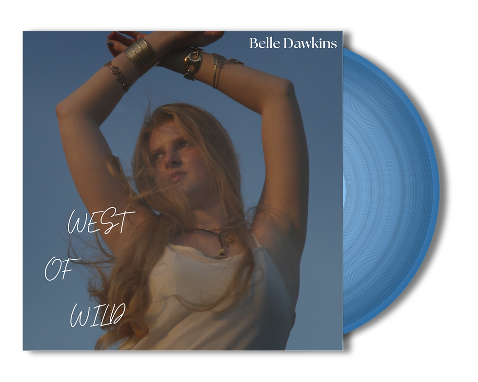 vinylpng-transparent-1788947666096.png