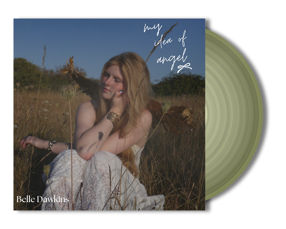 vinylpng-transparent-1788946312296.png