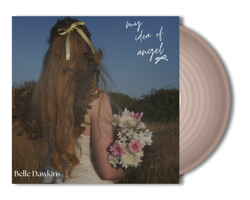 vinylpng-transparent-1788946515130.png