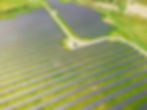 Großes grünes Feld mit Solaranlagen