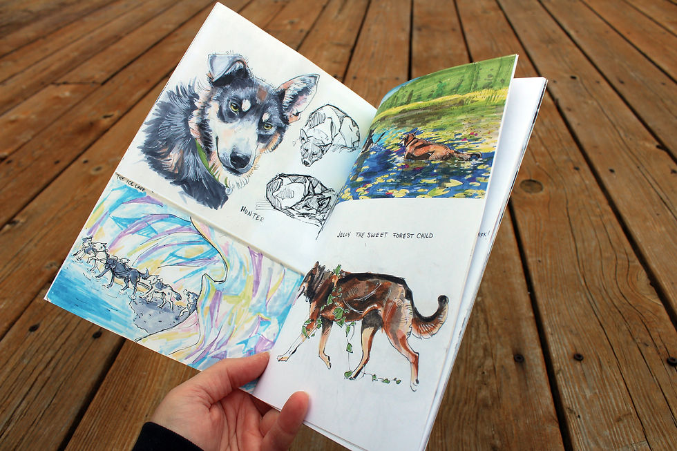 Thumbnail: Sleddog Sketches: Musings of a Musher