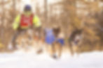 Beargrease 120