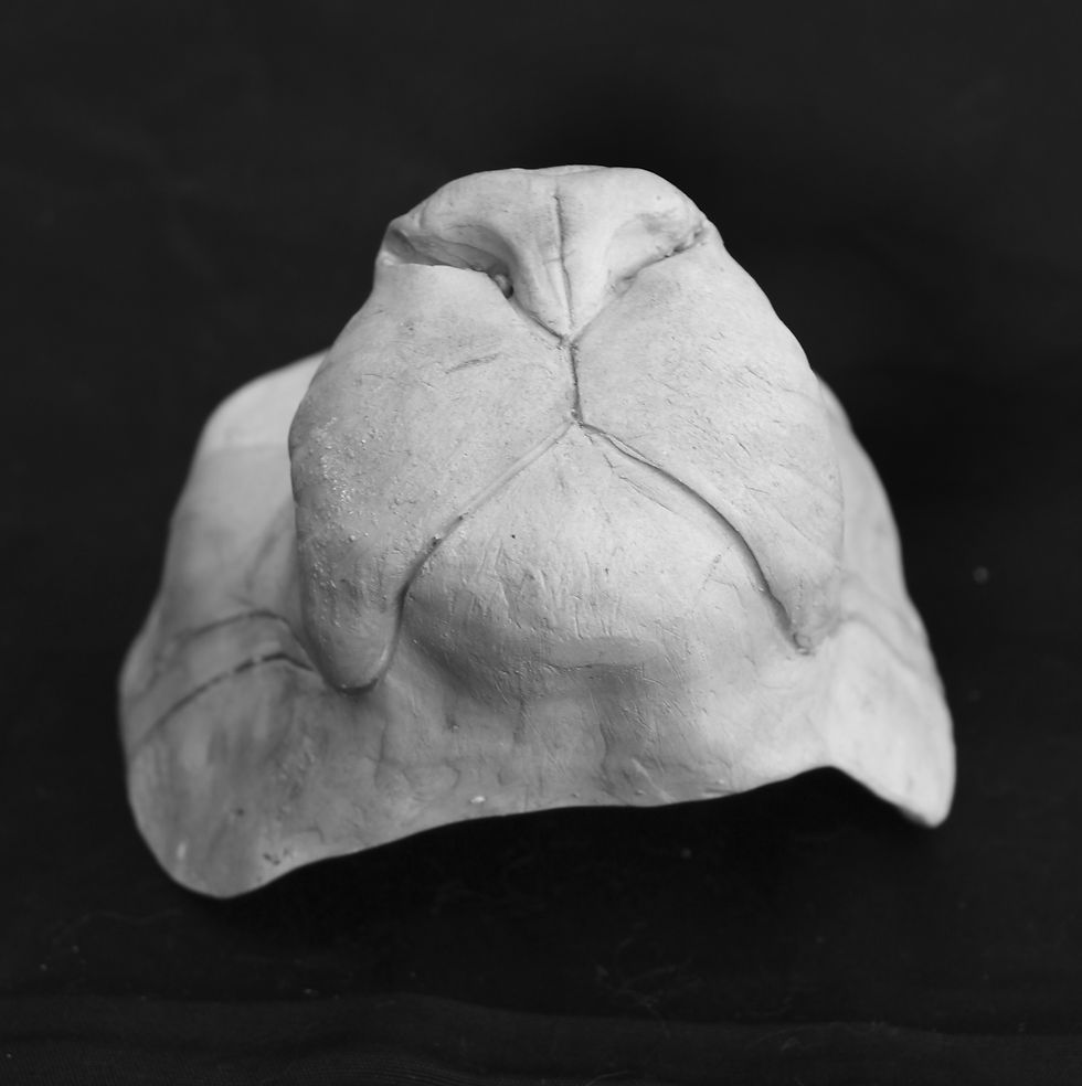 Thumbnail: Realistic Lion Fursuit Mask Resin Blank with Moving Jaw