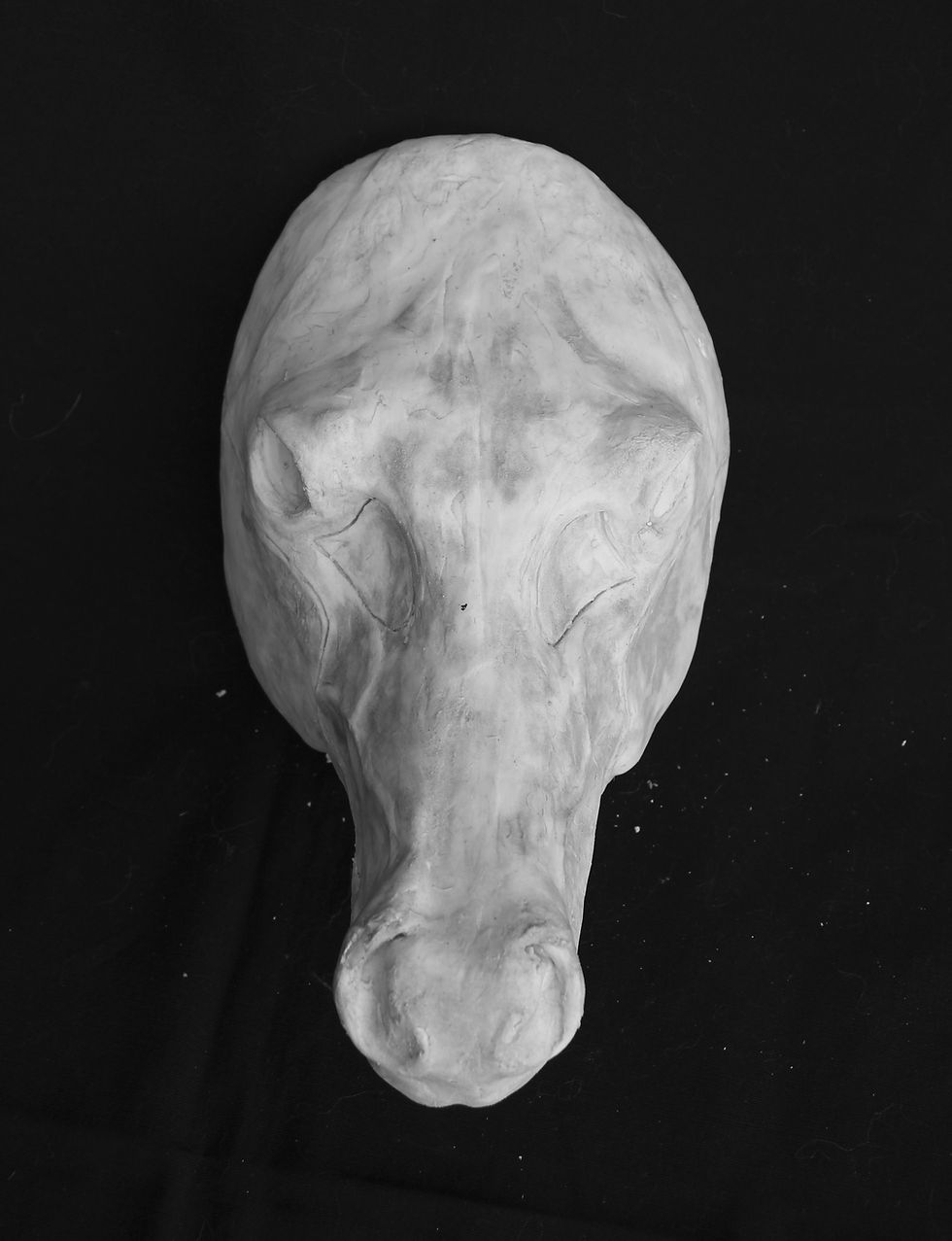 Thumbnail: Realistic Horse Fursuit Mask Resin Blank with Moving Jaw