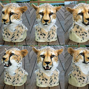 cheetah turnaround small.jpg