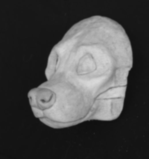 Realistic Striped Hyena Fursuit Mask Resin Blank with Moving Jaw