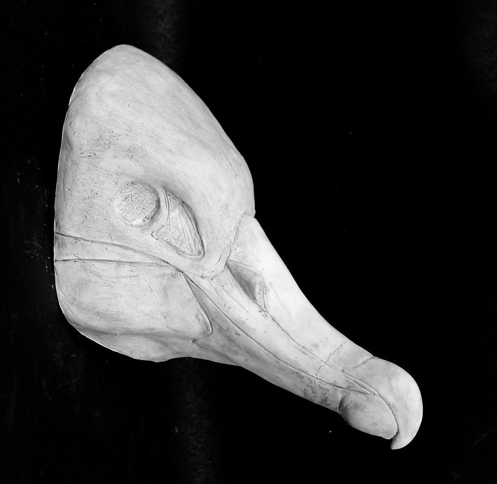 Thumbnail: Realistic Albatross Fursuit Mask Resin Blank with Moving Jaw