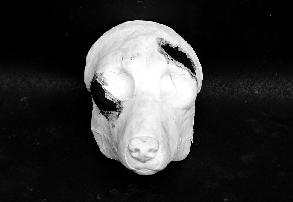 Thumbnail: Realistic Maned Wolf/slim nose k9 Fursuit Mask Resin Blank with Moving Jaw
