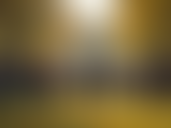 Build Community Resilience: The Power of Connection