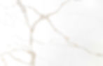 Calacatta bellezza gold close up detail image