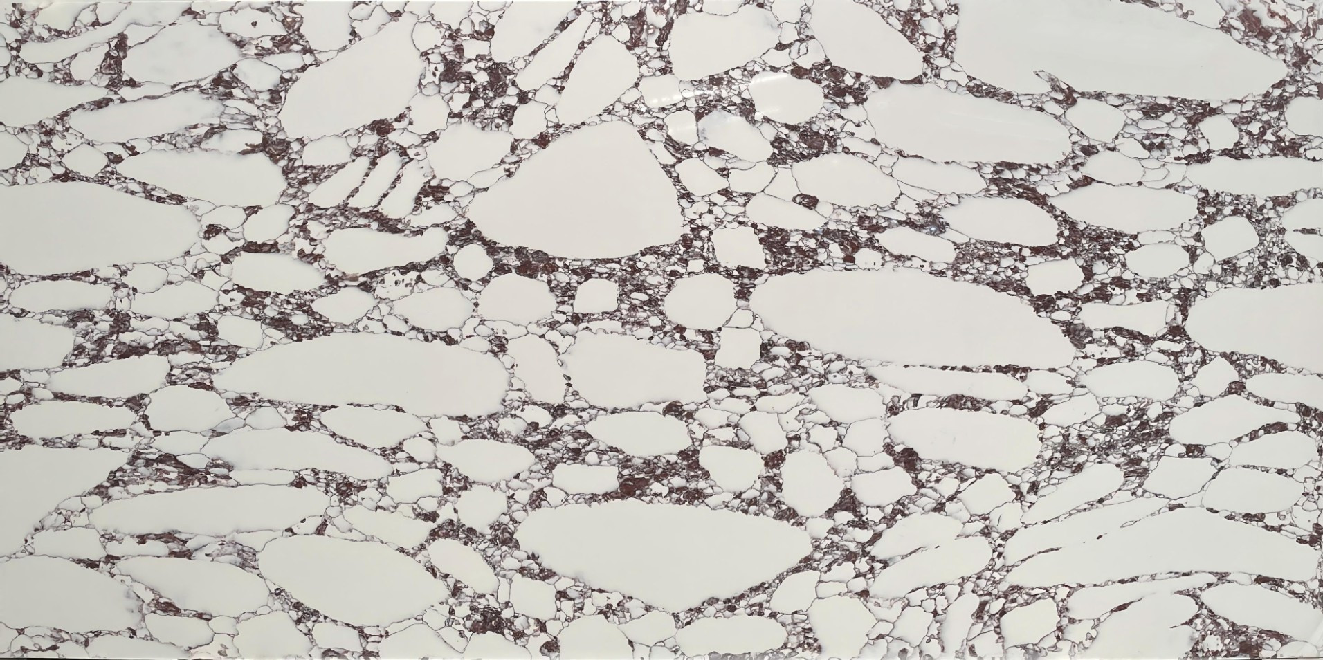 High contrast full slab view of Arabescato Viola quartz featuring crisp white breccia shapes surrounded by deep burgundy