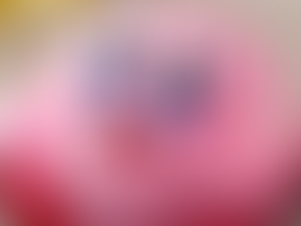 What do you know about the Kirby game franchise?