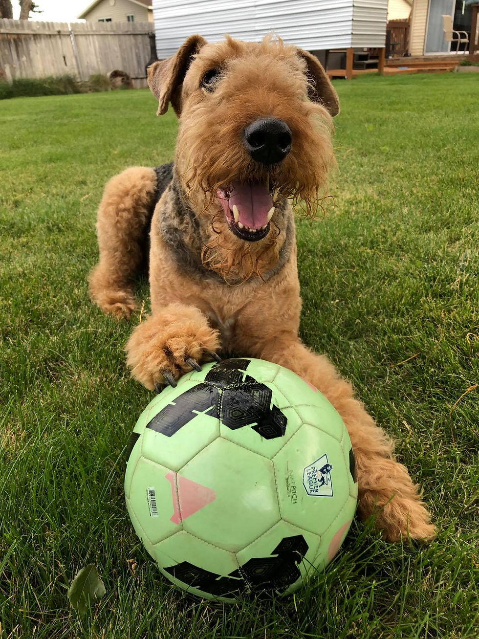 221272702_1190638878076186_8733606641657100573_n