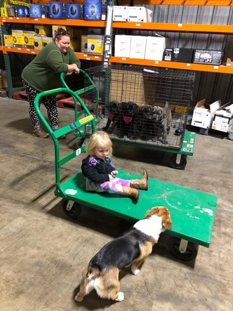 158417449_276204923897100_4954209427174161023_n