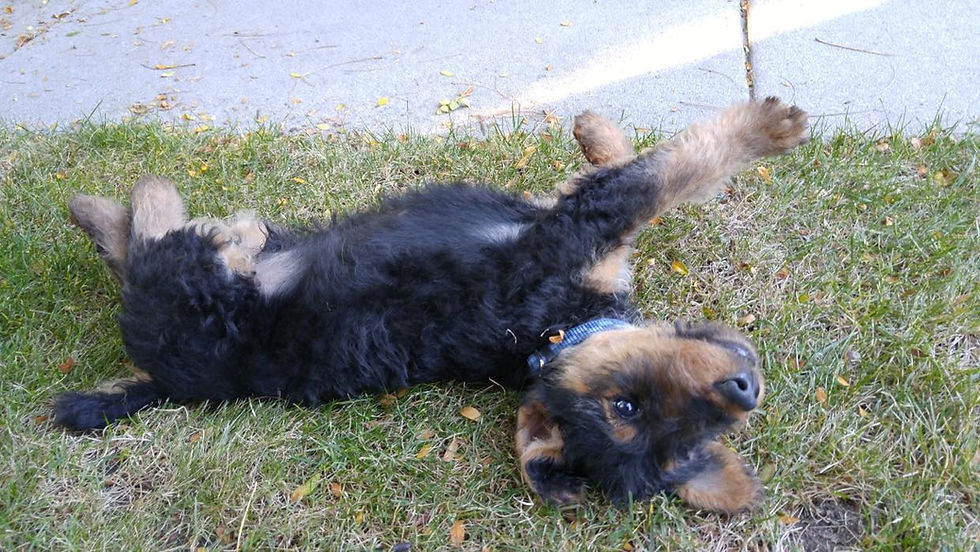 221212680_1195202180984165_6145323419390847620_n