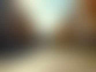 Budget Study Abroad Options That Deliver