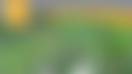 Securing Dog Parks with PDK: The Expertise of International Controls & Equipment