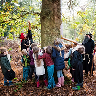 fairyland trust pic.png