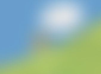 Лгать или не лгать?...